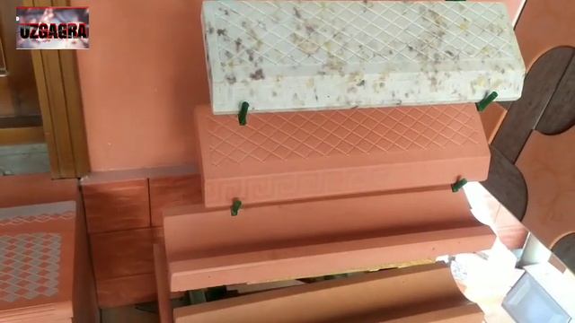 CHUST BURCHATKA NARXLARI VA YANGILIKLARI