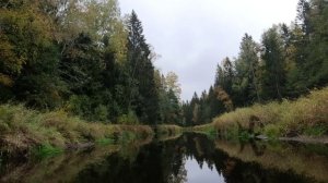 Сплав на байдарки по реке морье.