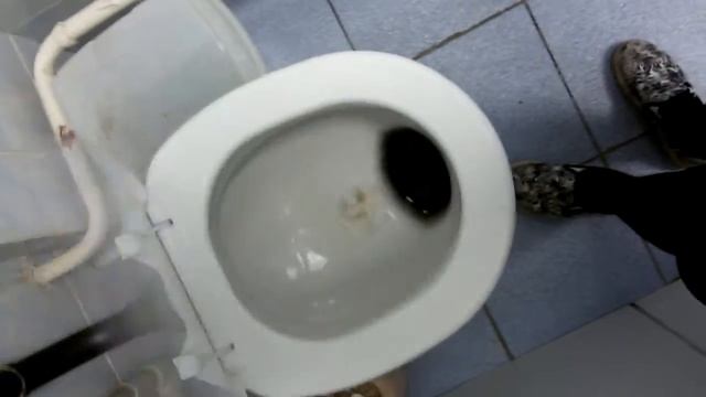 Тип туалет кушает) смотреть онлайн