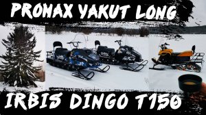 Снегоход Promax Yakut (Промакс Якут) 500 Long vs Dingo (Динго) T150. Зимние покатушки выходного дня.