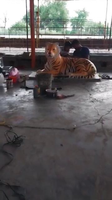 tiger ka color karte hue video смотреть онлайн