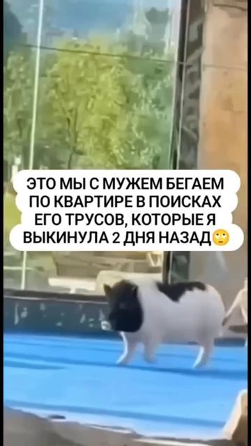 Потерял трусы смотреть онлайн