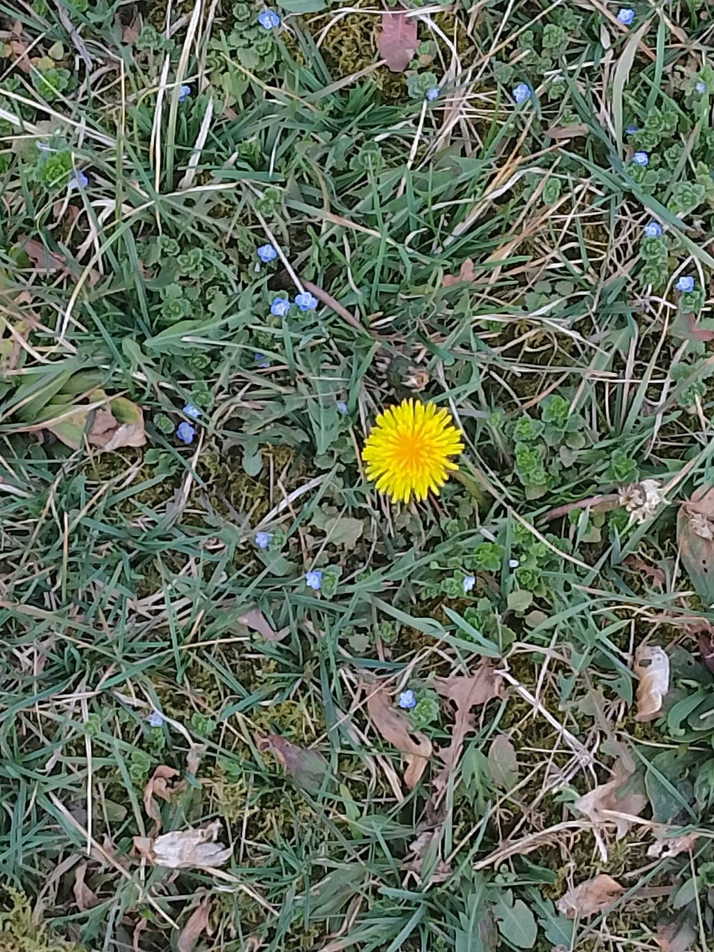 играем в рб