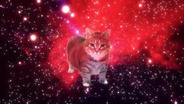 W&W - OIIAOIIA (Spinning Cat)