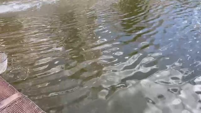 2_5390974805988107368 смотреть онлайн