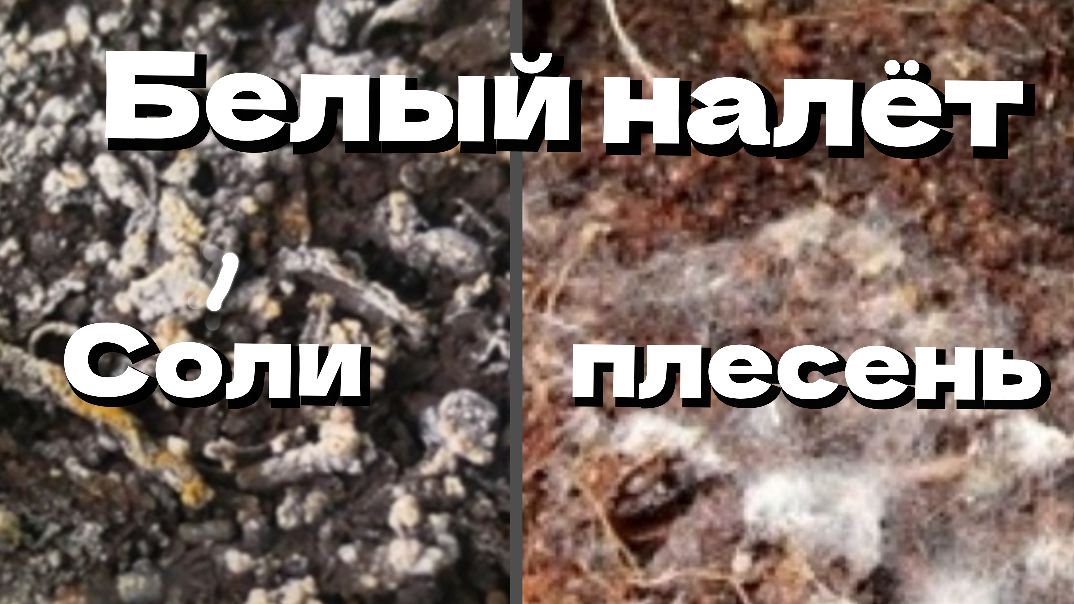 Белый налёт на грунте. Причины появления. Что делать смотреть онлайн