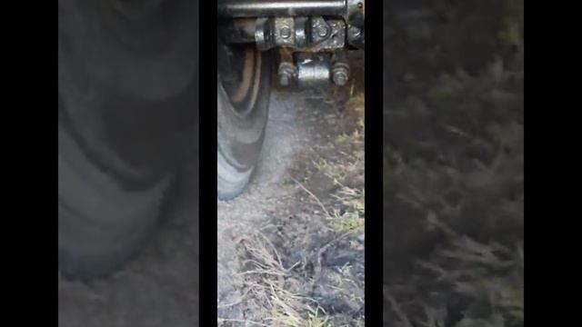 ассенизатор