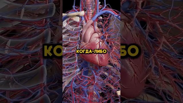 не ешьте эти 4 продукта перед сном это опасно ⚠️ смотреть онлайн