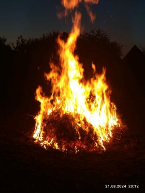 Песни под аккордеон