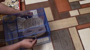 Колесо для хомяка своими руками