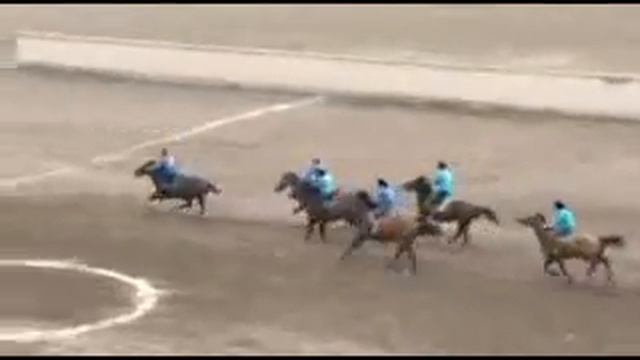 "Рустам тыналиев архив. Алга. 😎 смотреть онлайн