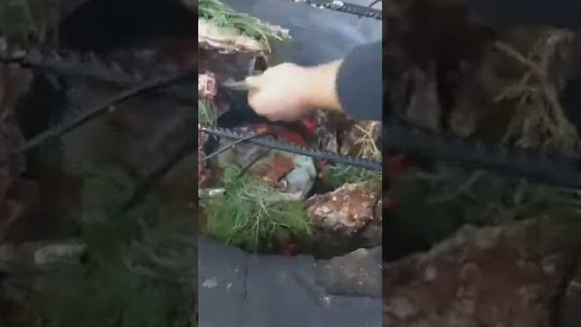 Yakkaboğ tandir 1 qisim смотреть онлайн