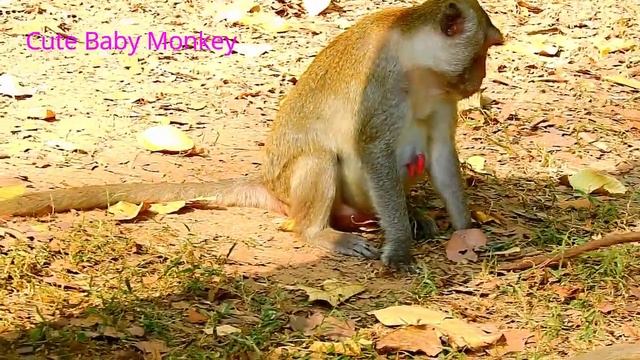 Mom Jane Still Denied Milk Janet Even Plenty Of Milk Drop Down | Jane Threaten Janet Stop Ask Milk