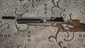 Дубрава Чекан, Русский Крал.