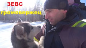 ЗНАКОМСТВО С ЗЕВСОМ! ОБКАТКА И ПЕРВАЯ ЗАМЕНА МАСЛА НА МОТОТОЛКАЧЕ ТОФАЛАР ТУНДРА 600 ЛОНГ!