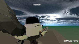 история DSG
