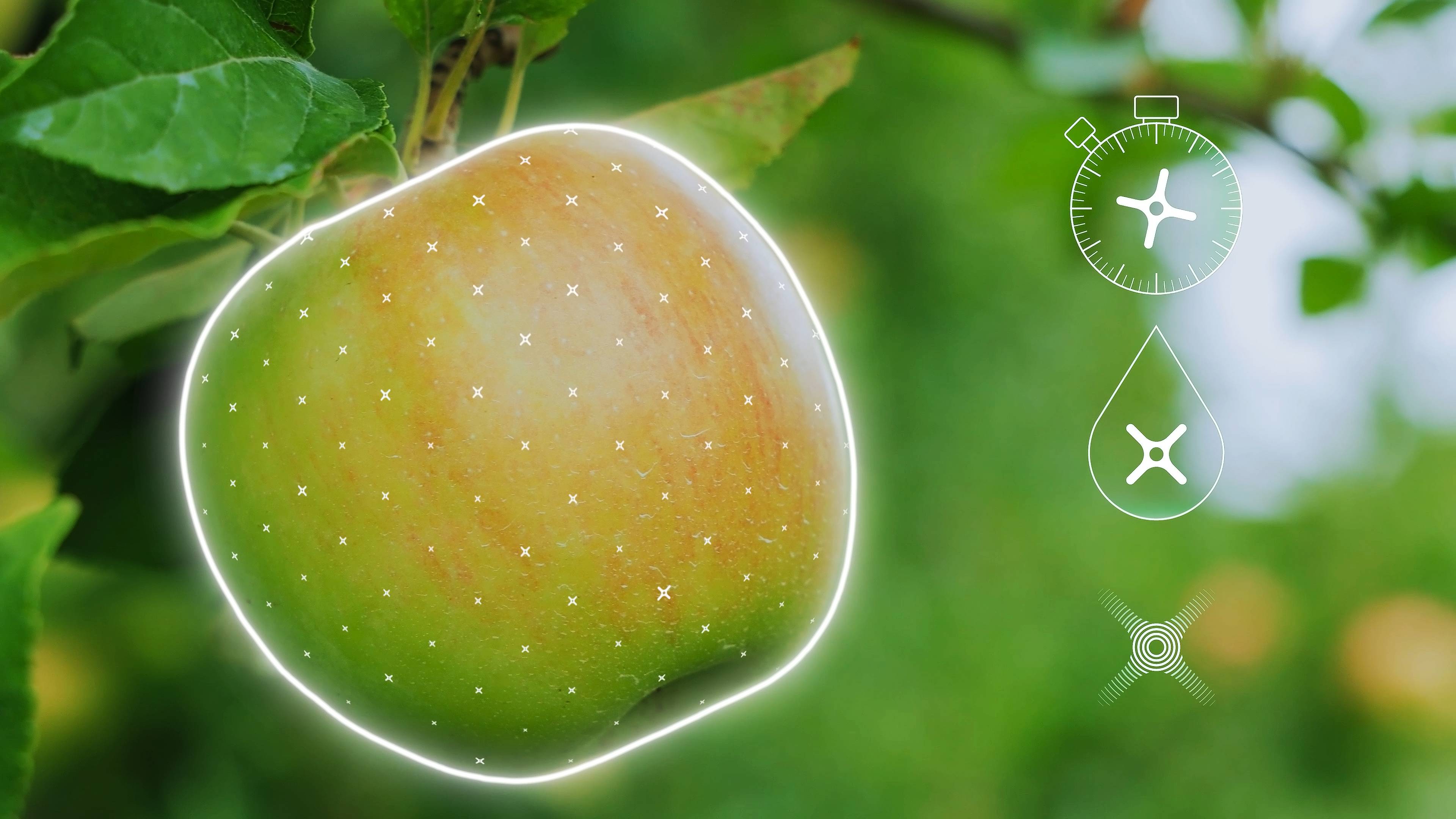 Syngenta. Фунгицид МИРАВИС®, новинка компании «Сингента» 2022 года. Общий ролик (короткая версия)