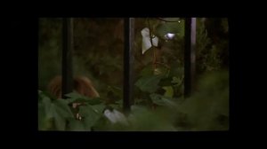 Chechu y familia 1993 (Eng Subtitles)