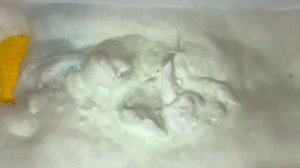 ASMR DISH SOAP; LAUNDRY GEL; GREEN & YELLOW SET SPONGES SQUEEZING 💛💚