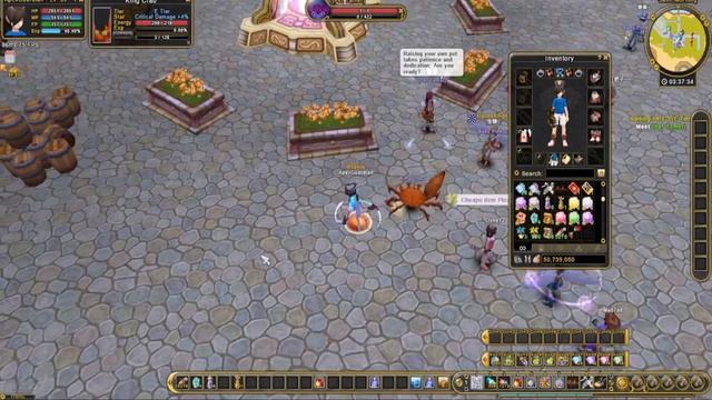 Flyff Universe Pets and Pet Candy Ep:5 смотреть онлайн