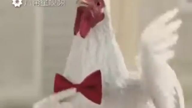Ку ку ру ку смотреть онлайн