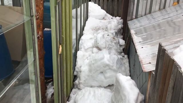 Теплица не выдержала снежной зимы смотреть онлайн