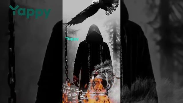 Взаимоподписка