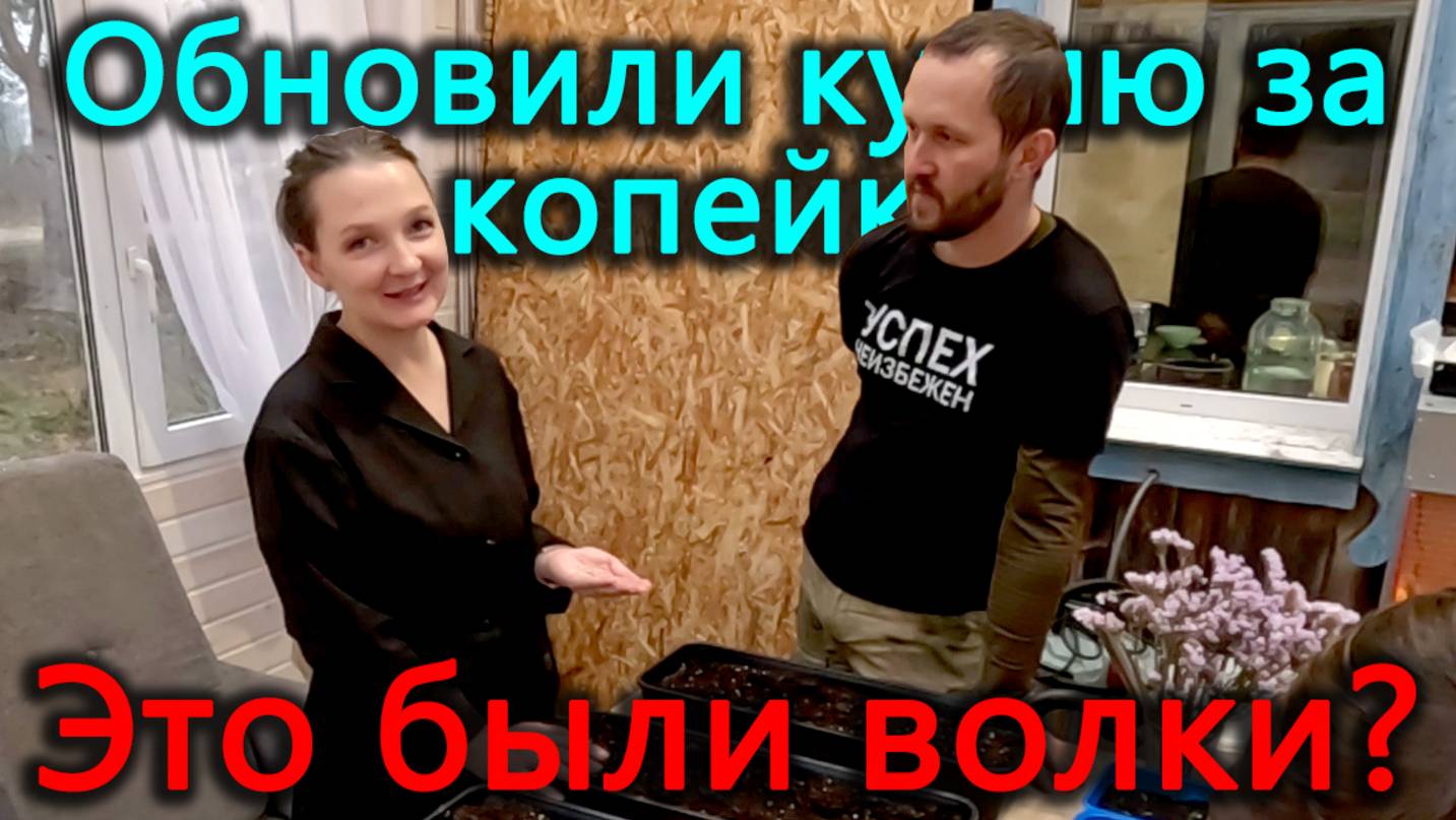 Обновили фасад кухни за копейки. Гектары требуют много рассады. А это точно волки? смотреть онлайн