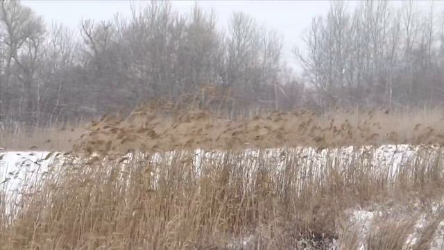 Зимний ветер смотреть онлайн