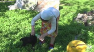 Каникулы у бабушки в деревне: Внуки кормят барашка с бутылочки🍼🐏👶🏻, березовые веники от деда🌿