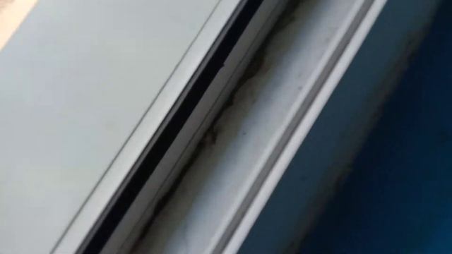 нашли больших комаров в подъезде смотреть онлайн