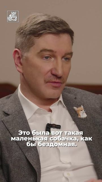 О дружелюбных собаках. смотреть онлайн