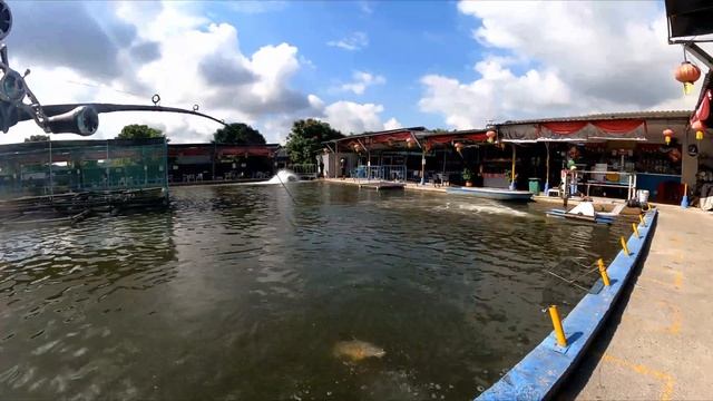I AM BACK AT AHLIM FISHING POND! BIG FISH! смотреть онлайн