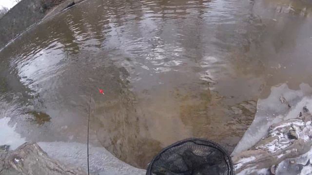 Wisconsin winter steelhead root river 2018 смотреть онлайн