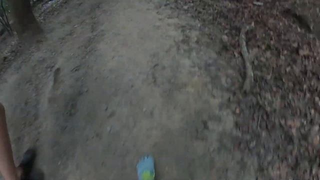 GoPro Max Time Warp 10x Hocking Hills State Park Cedar Falls смотреть онлайн