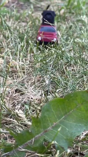 Маленькое, шпионское устройство прямо у вас в руках ссылка, где можно заказать, в комментариях смотреть онлайн