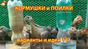 Кормушки и поилки для кур своими руками (111) 🪚✂️ Пошаговая инструкция как сделать 🐔 🐓❣️