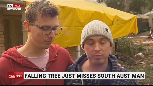 Falling gum tree narrowly misses South Australian man смотреть онлайн
