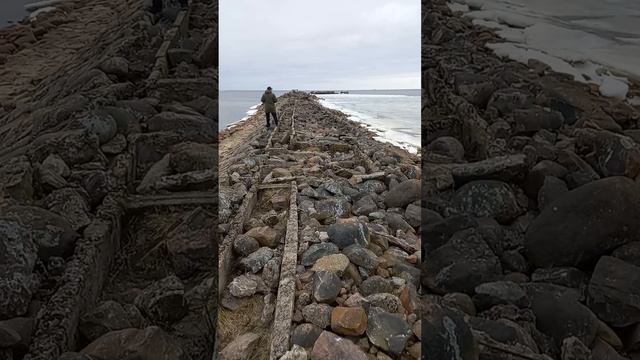 дикие места