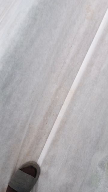 спрятали клубнику от возвратных заморозков смотреть онлайн