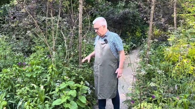 My May-garden смотреть онлайн