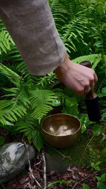 1888hz ✨ Energy Flow in 7 Sec #tibetansingingbowls #meditation смотреть онлайн