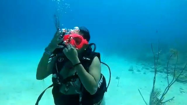 XP SAI смотреть онлайн