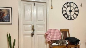 Переезд в деревню. Четыре кота. Прощай Долгопрудный.