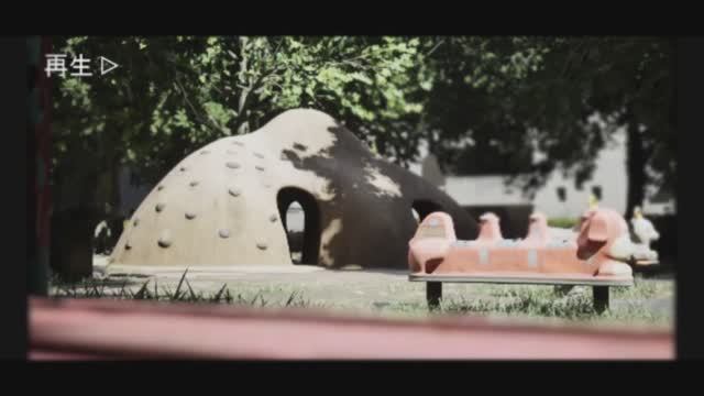 Chilla's Art Cursed Digicam | 呪われたデジカメ (2025) [PC]