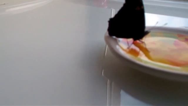 73) Бабочка-красавица,покушала! смотреть онлайн