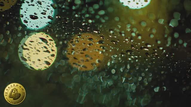 Размышления в дождь (TMSC Studio)