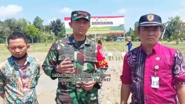 TANAM BERSAMA KETAHANAN PANGAN KODIM 1002/HST смотреть онлайн