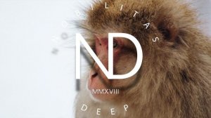 Dj Dark - Mwaki (Extended) | Zerb ft. Sofiya Nzau - Mwaki (Dj Dark Remix)