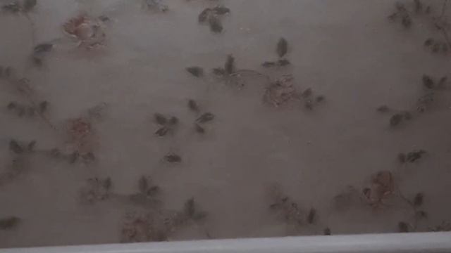 Спальна смотреть онлайн